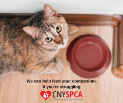 CNY-SPCA 